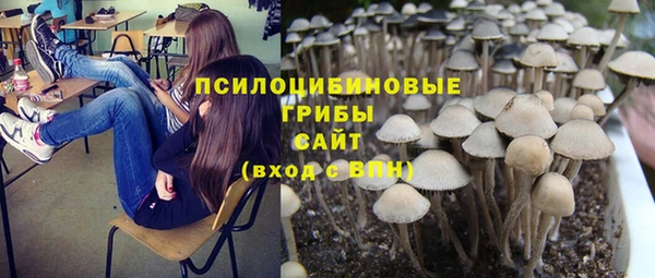 таблы Алзамай