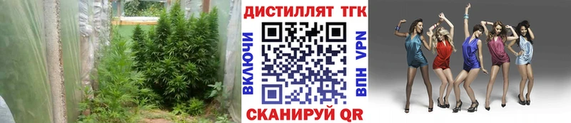 Дистиллят ТГК жижа Сельцо