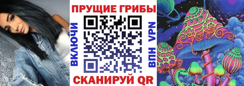мориарти телеграм  OMG   Сельцо  Галлюциногенные грибы прущие грибы 